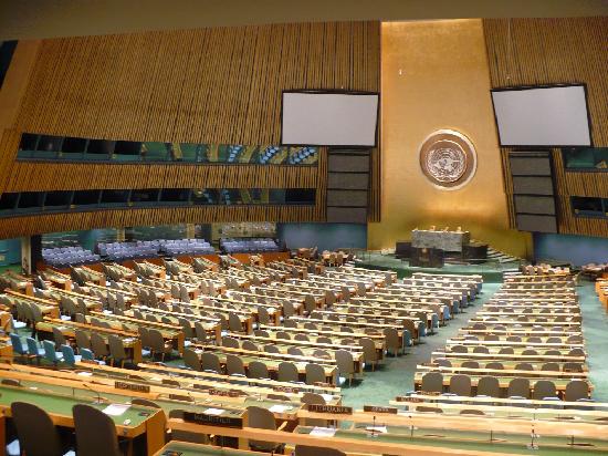 CONED discute Sessão Especial sobre Drogas da ONU